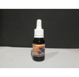 Buccopolis 15 ml