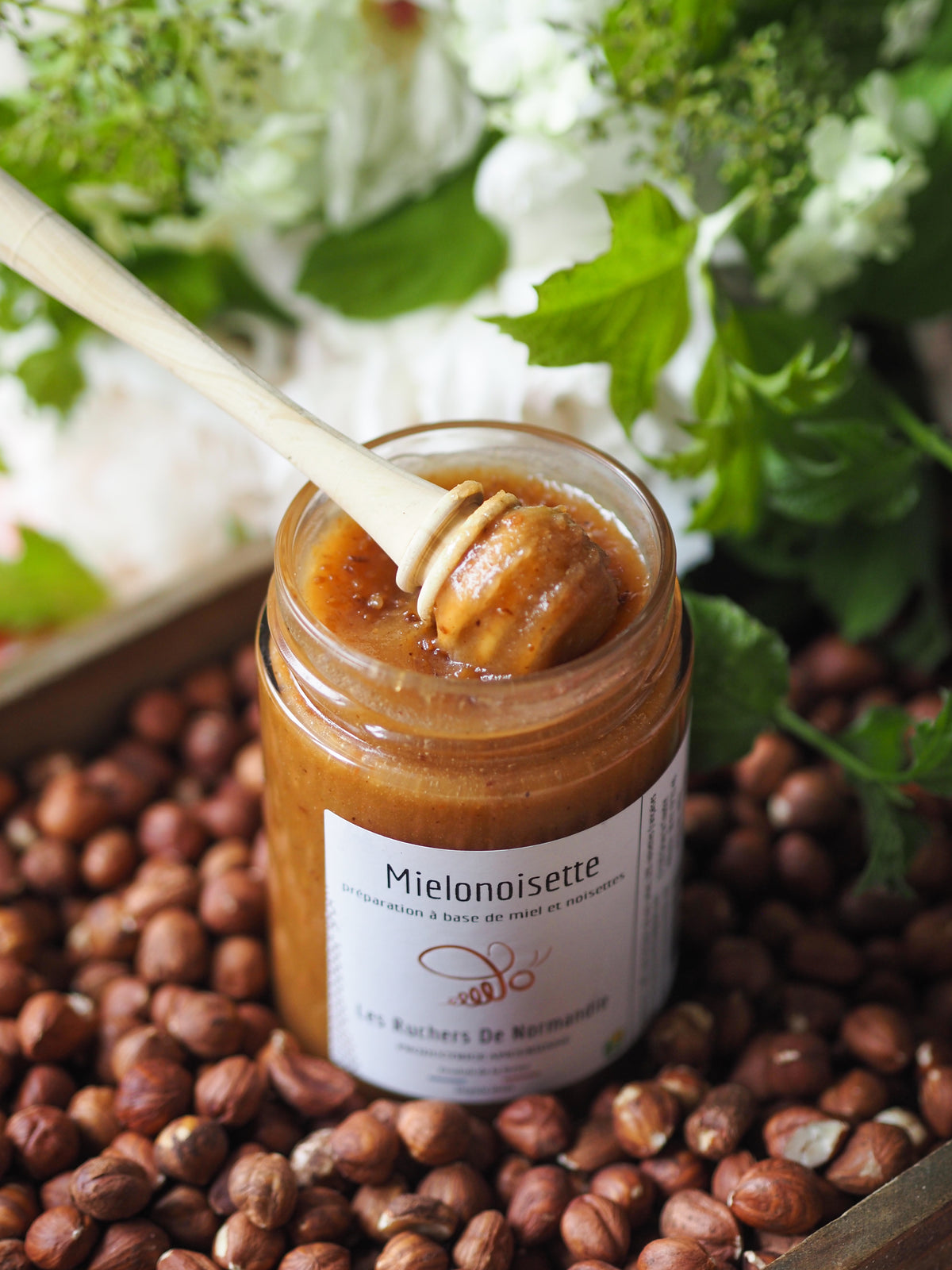 Mielonoisette
