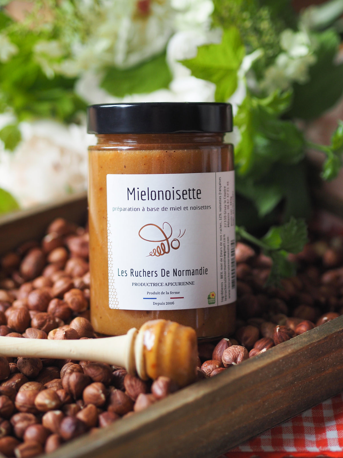 Mielonoisette