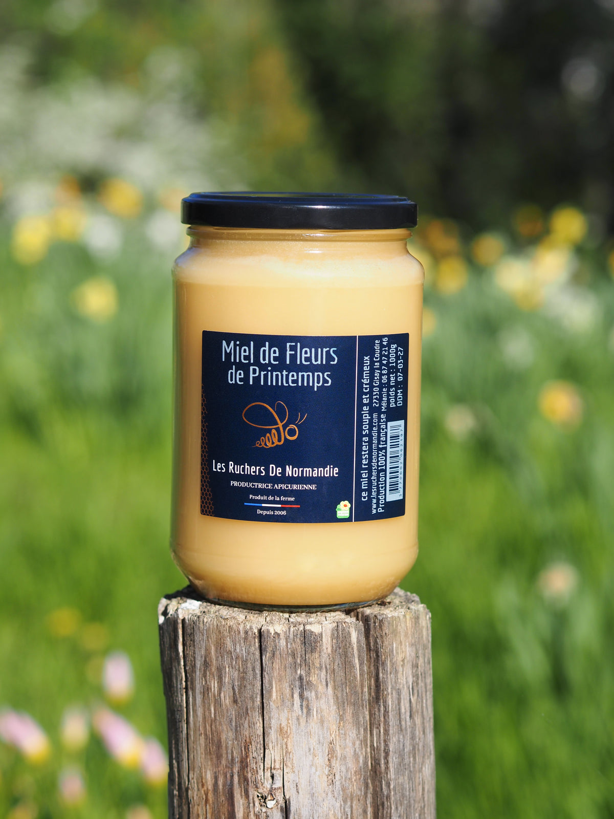 Miel de Fleurs de Printemps
