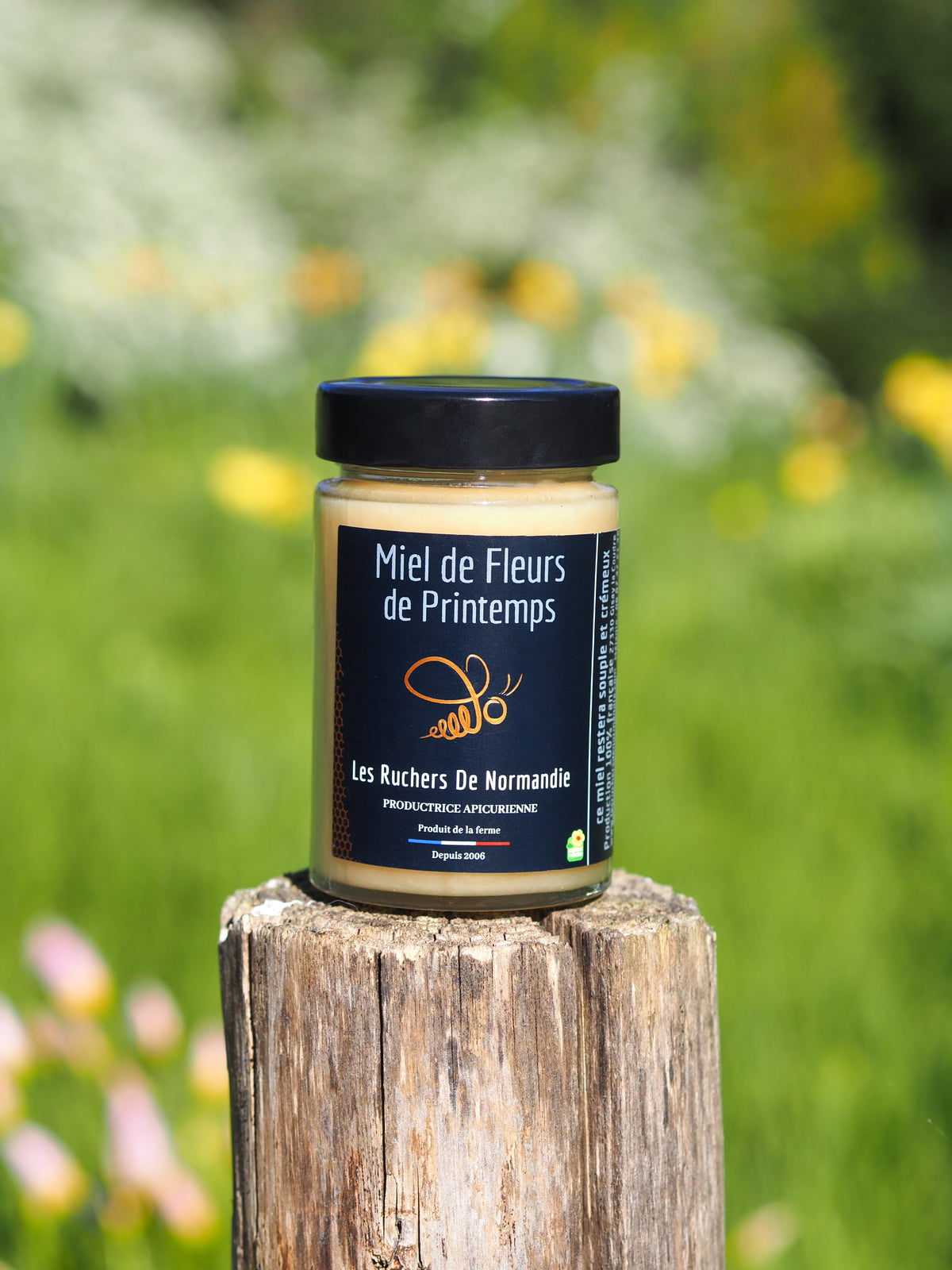 Miel de Fleurs de Printemps