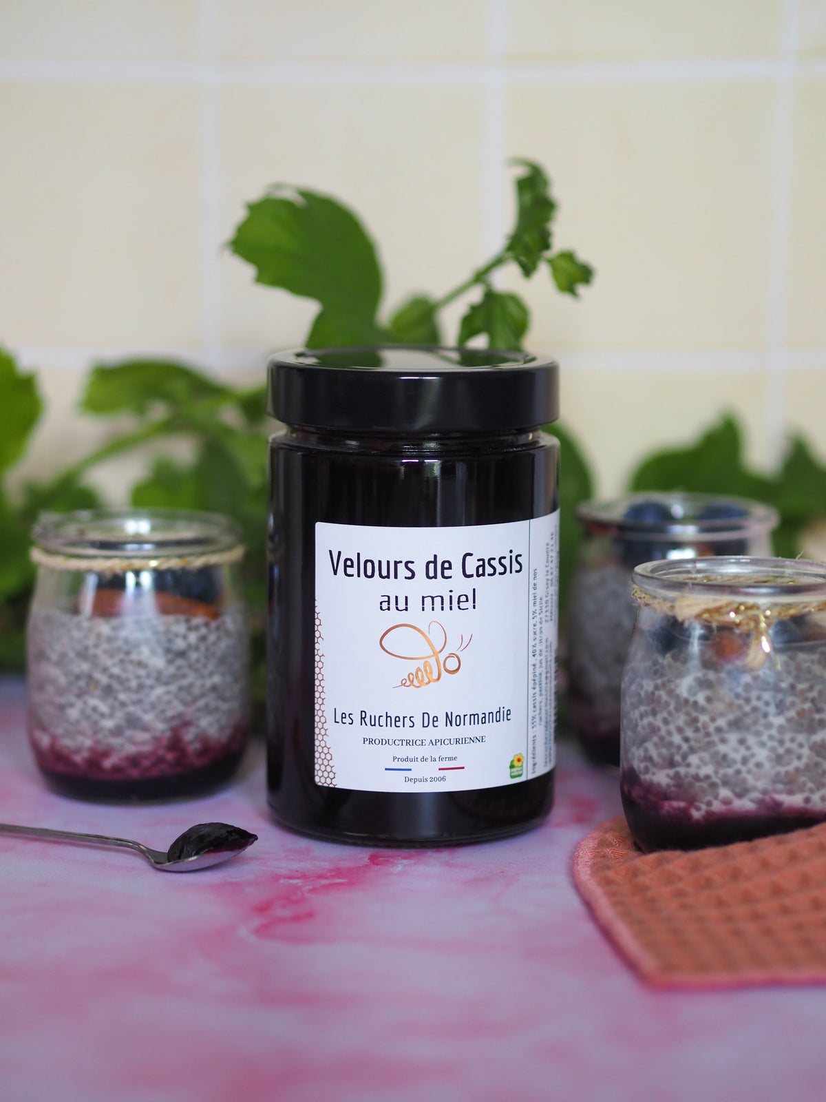 Confiture de Cassis au Miel